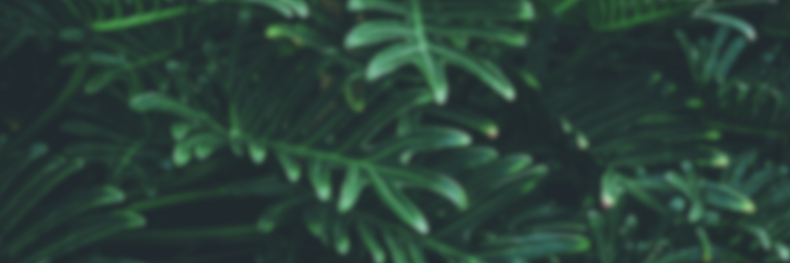 Hospital CTA background